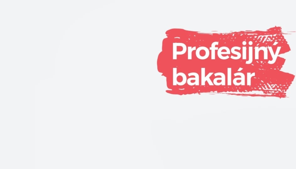 Brose Slowakei Logo profibakalar